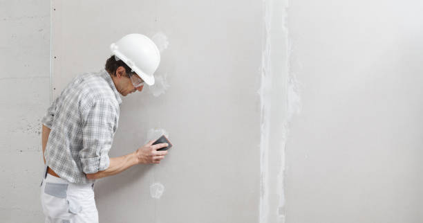 Best Asbestos and Lead Testing During Mold Inspection  in Kingsbury, NV