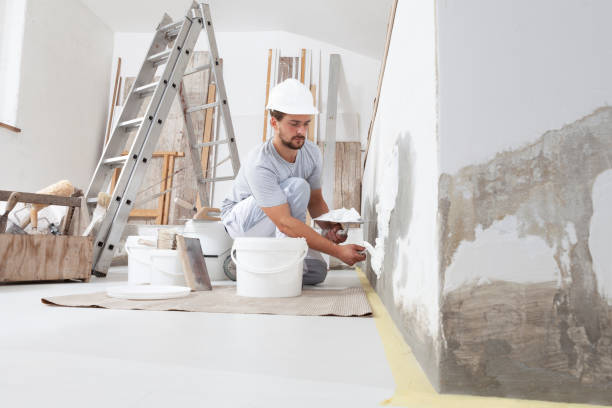  Kingsbury, NV Mold Removal Pros