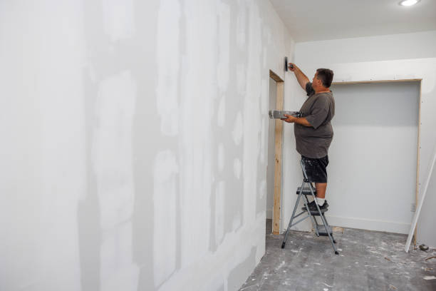 Best Commercial Mold Inspection  in Kingsbury, NV