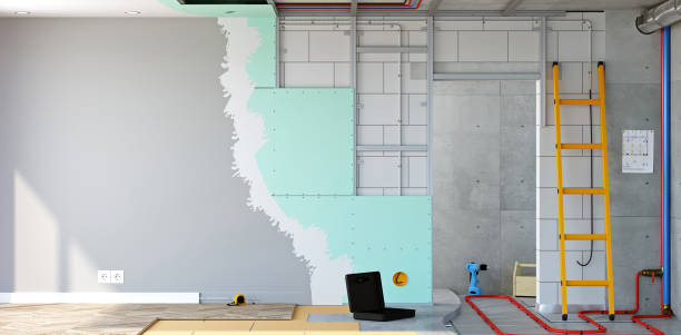 Professional Mold Removal in Kingsbury, NV