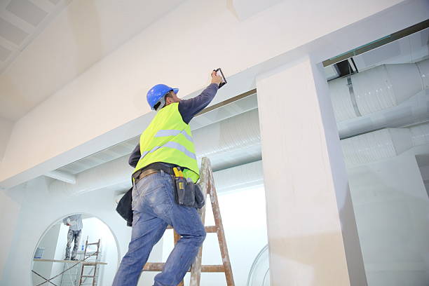 Best Water Damage & Mold Remediation  in Kingsbury, NV
