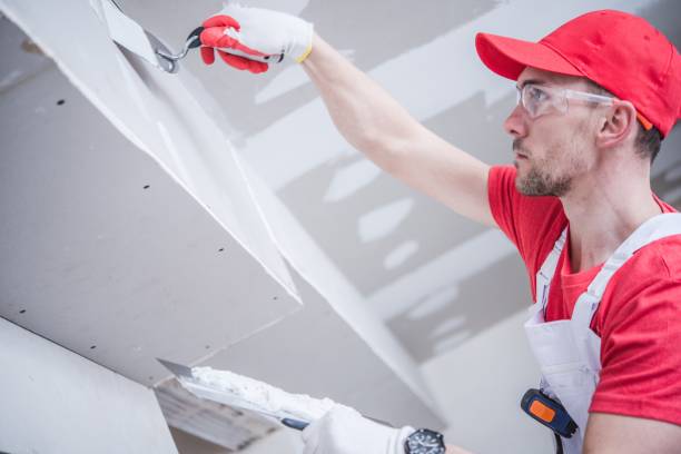 Best Mold Damage Restoration  in Kingsbury, NV